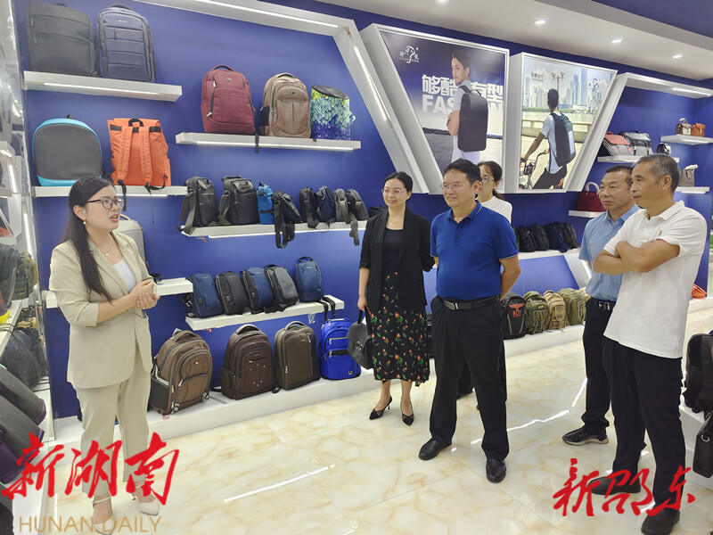 黄负平带队调研邵东市智能制造产业链发展状况_邵阳头条网